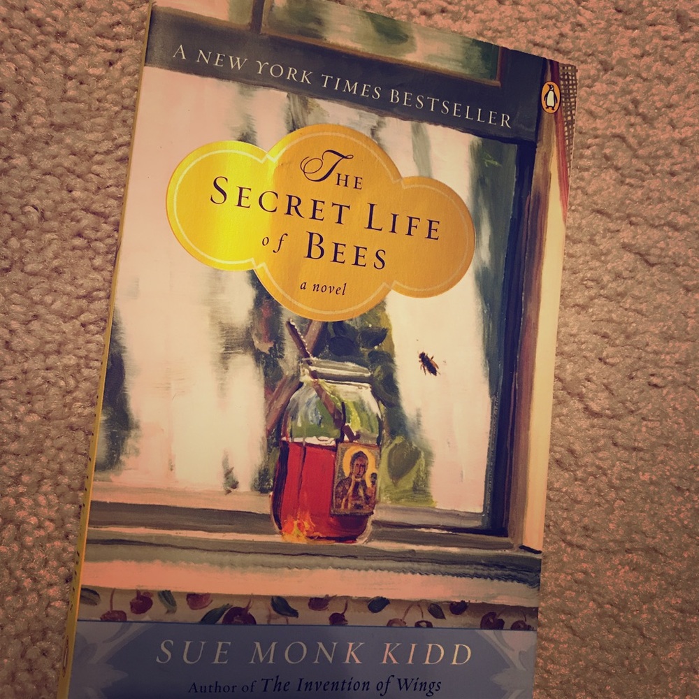 Secret Life of Bees Book
